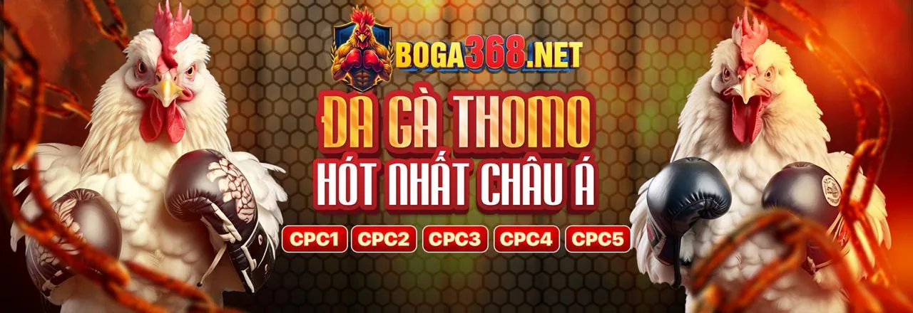 Đá gà kịch tính tại iwinclub