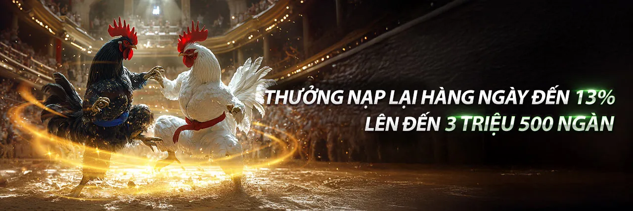 Xem trực tiếp đá gà kịch tính tại iwinclub