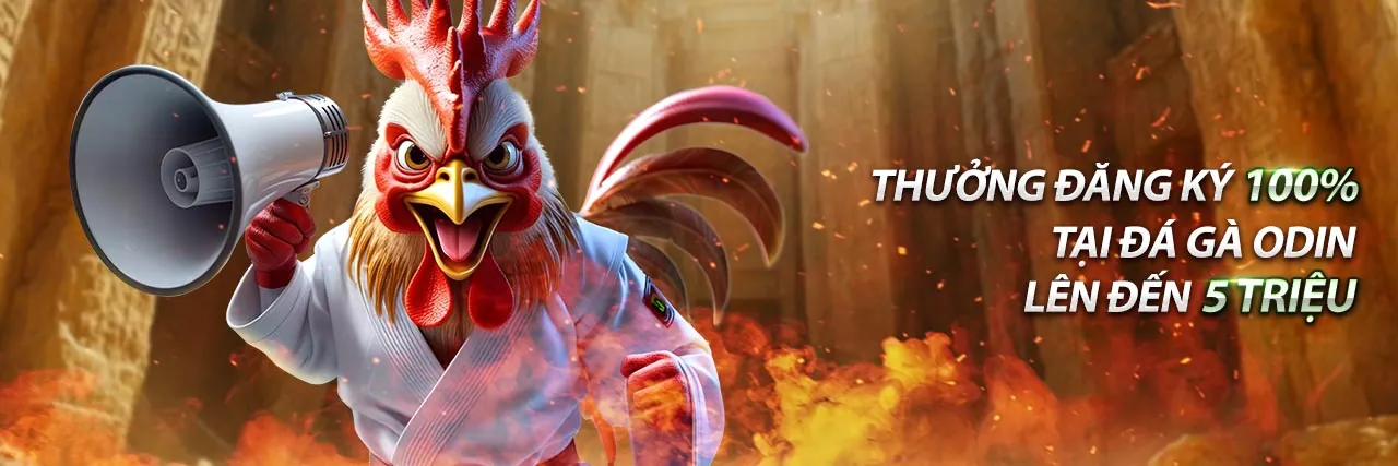 Trận đấu đá gà Thomo Campuchia kịch tính